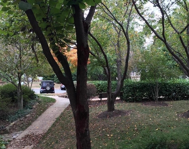 11402 Gate Hill Place - Photo Thumbnail 17