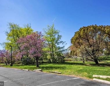 517 Florida Avenue - Photo Thumbnail 42