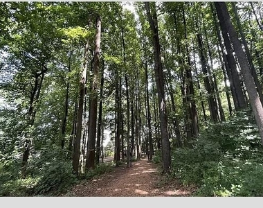 8360 Greensboro Drive - Photo Thumbnail 38