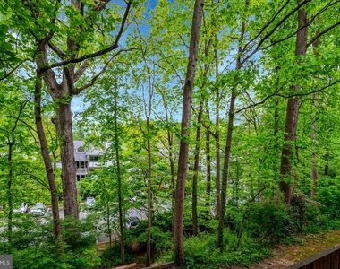 7717 Donnybrook Court - Photo Thumbnail 66