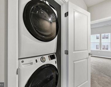 815 Lennox Street - Photo Thumbnail 22