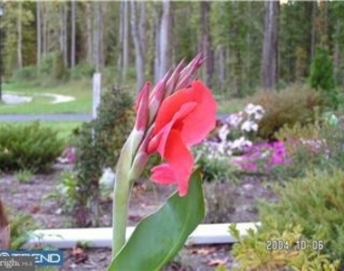 18 Stirling Drive - Photo Thumbnail 8