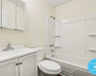113 Florence Street - Photo Thumbnail 18