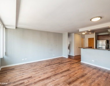 211 E Ohio Street - Photo Thumbnail 4