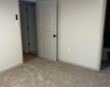 902 Alice Street - Photo Thumbnail 16