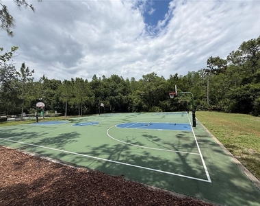 31203 Flannery Court - Photo Thumbnail 26