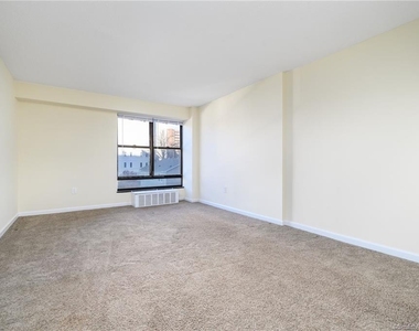 44 Strawberry Hill Avenue - Photo Thumbnail 14