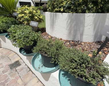 5100 N Ocean Boulevard - Photo Thumbnail 23