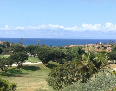 32 Dauphin - Photo Thumbnail 25