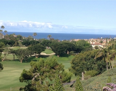 32 Dauphin - Photo Thumbnail 38