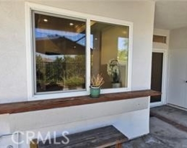 28213 La Gallina - Photo Thumbnail 5