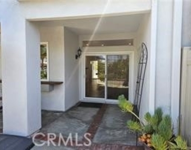 28213 La Gallina - Photo Thumbnail 16