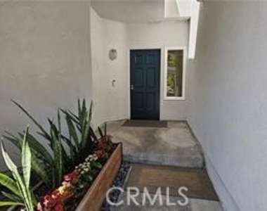 28213 La Gallina - Photo Thumbnail 1