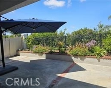 28213 La Gallina - Photo Thumbnail 6