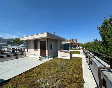 138 Dwight Street - Photo Thumbnail 8