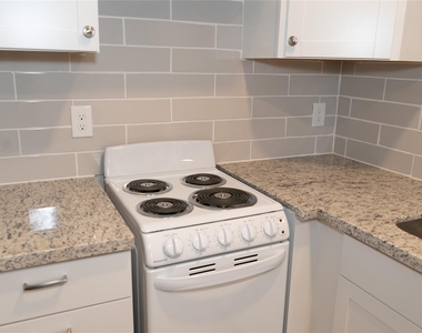 97 Anthony St - Photo Thumbnail 4