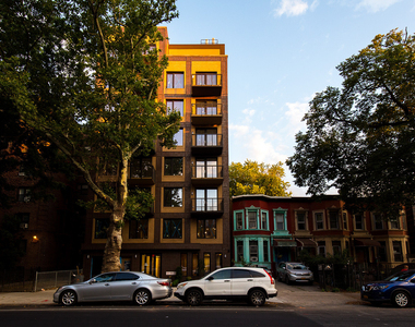 290 Linden Blvd 11226 - Photo Thumbnail 7