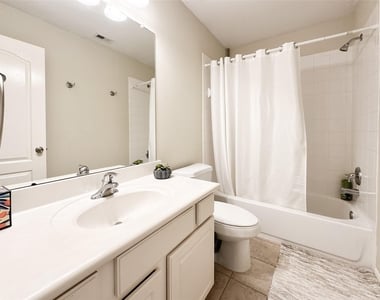 6118 Coastal Grove Ln - Photo Thumbnail 29