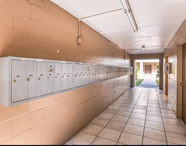 3810 W San Carlos Street - Photo Thumbnail 6