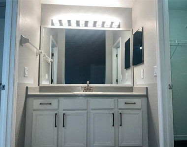 2620 Regency Oak Lane - Photo Thumbnail 18