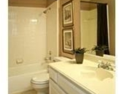 907 Canal - Photo Thumbnail 6