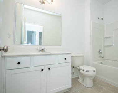 4283 Chelsea Manor Circle - Photo Thumbnail 11