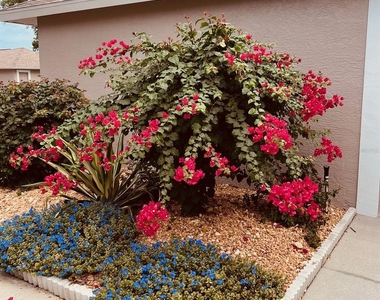 8941 Veranda Way - Photo Thumbnail 1