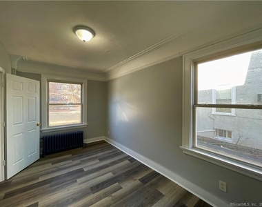 12 Lorraine Street - Photo Thumbnail 5