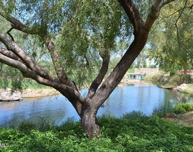 12415 W Running Deer Trail - Photo Thumbnail 28
