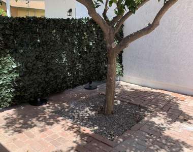1317 W Glenrosa Avenue - Photo Thumbnail 4