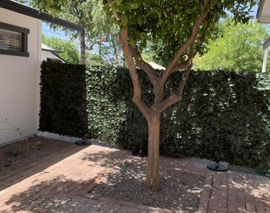 1317 W Glenrosa Avenue - Photo Thumbnail 6