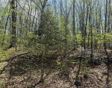 46 Lime Kiln Road - Photo Thumbnail 8
