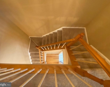 6623 Frost Lake Lane - Photo Thumbnail 30