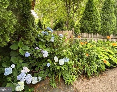 471 Athens Avenue - Photo Thumbnail 43