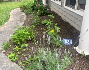 471 Athens Avenue - Photo Thumbnail 39