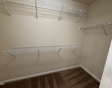 1009 Magnolia Blossom Lane - Photo Thumbnail 80