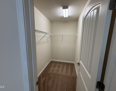 1009 Magnolia Blossom Lane - Photo Thumbnail 51