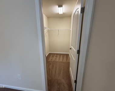 1009 Magnolia Blossom Lane - Photo Thumbnail 52