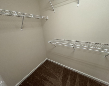 1009 Magnolia Blossom Lane - Photo Thumbnail 79