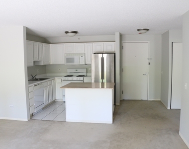 545 N Dearborn Street - Photo Thumbnail 2