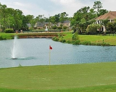 10738 Bridgeport Path Court - Photo Thumbnail 34
