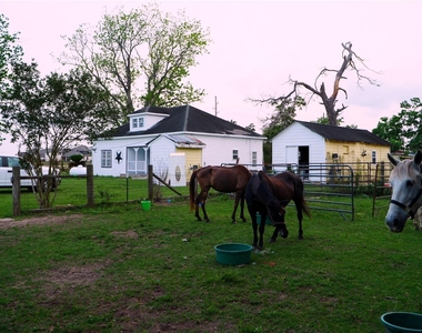 24206 Longenbaugh Road - Photo Thumbnail 40