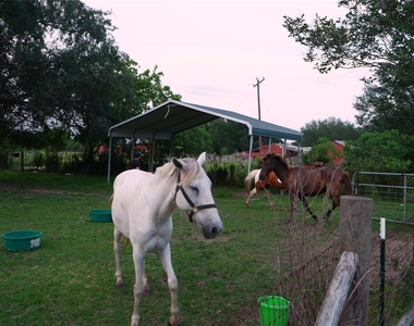 24206 Longenbaugh Road - Photo Thumbnail 39
