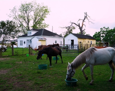 24206 Longenbaugh Road - Photo Thumbnail 41