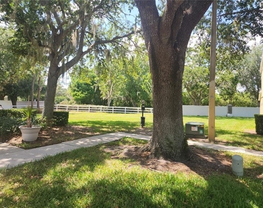 1317 Throckmorton Drive - Photo Thumbnail 2
