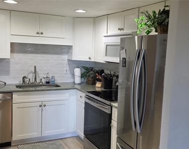 511 Plaza Seville Court - Photo Thumbnail 15