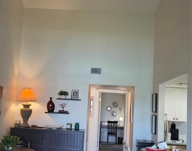 511 Plaza Seville Court - Photo Thumbnail 13