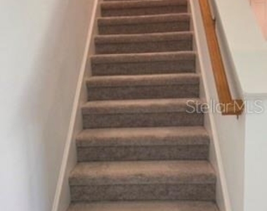 4520 Ranunculus Street - Photo Thumbnail 8