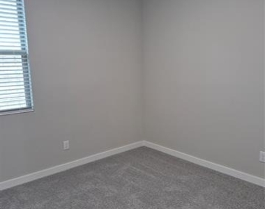 872 Sunflower - Photo Thumbnail 10