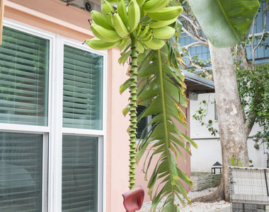 204 Coral Road - Photo Thumbnail 32